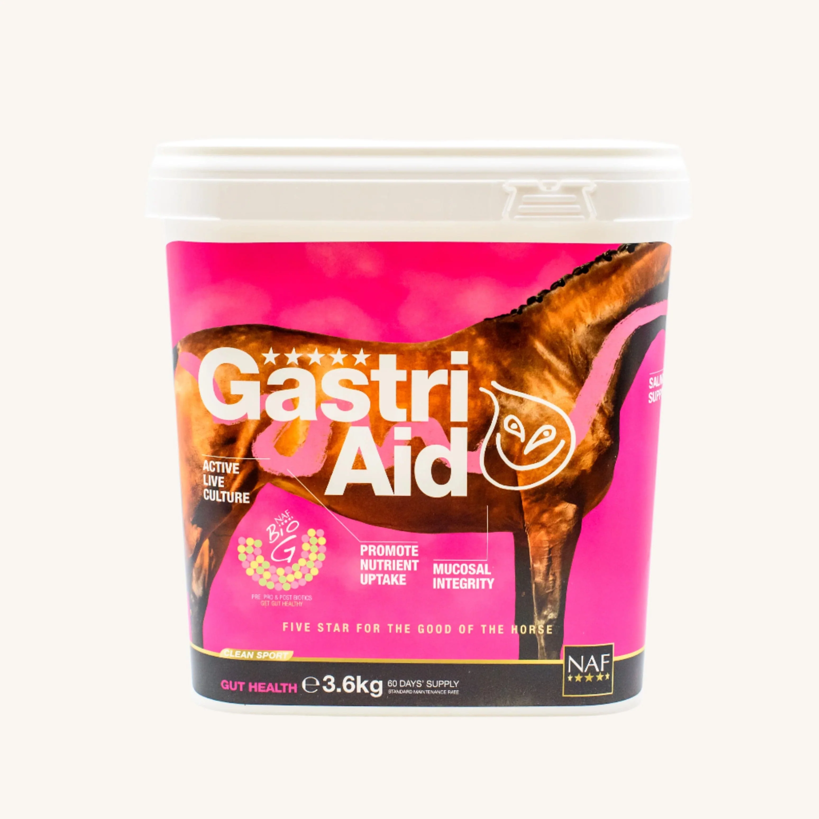 GastriAid - Image 3