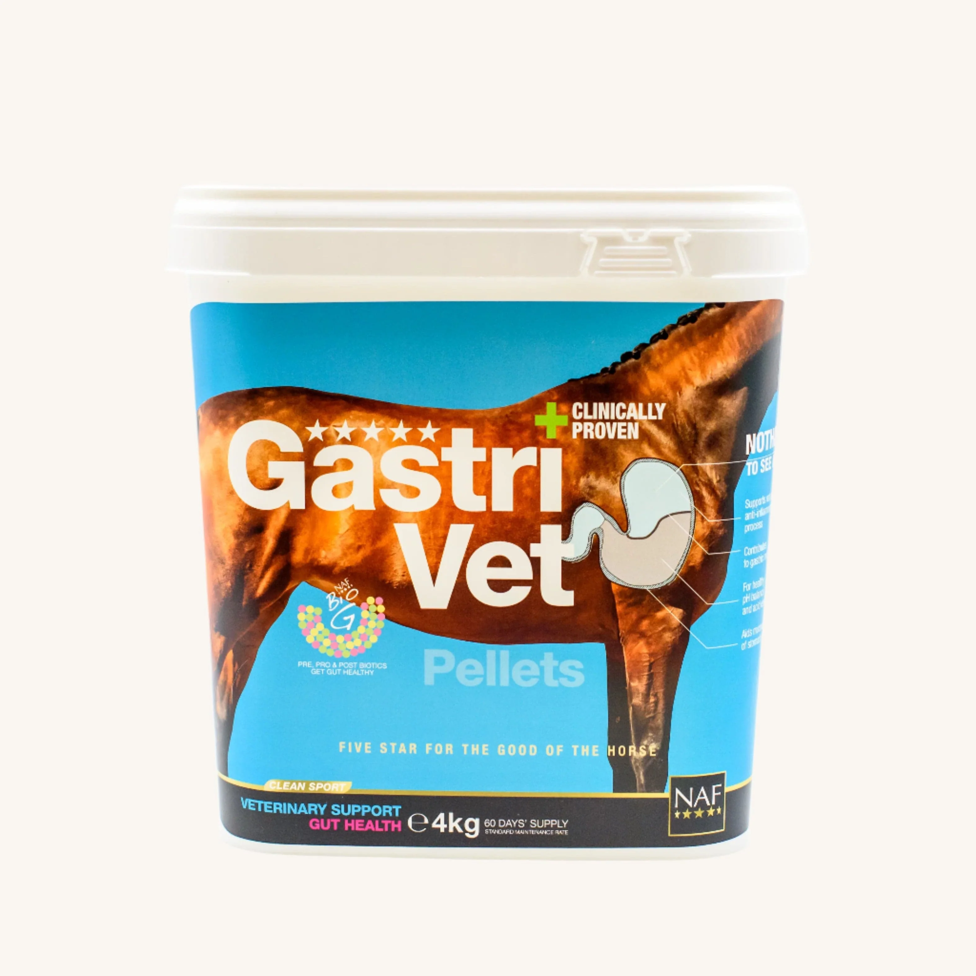 GastriVet - Image 3