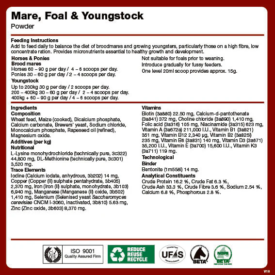 Mare, Foal & Youngstock - Image 3