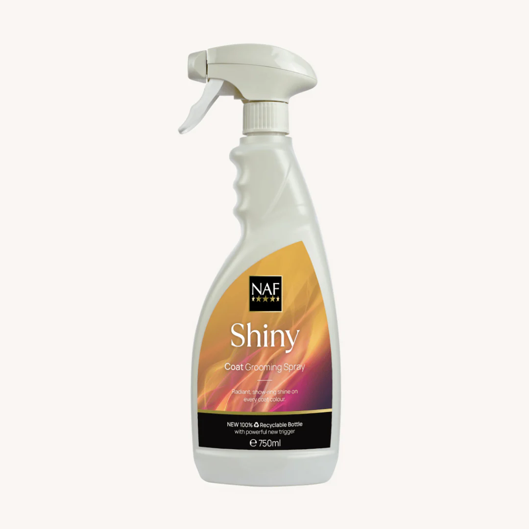 Shiny